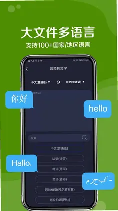 九崖语音翻译预览图