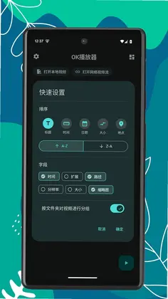 OK播放器预览图