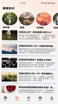 花间猫舍时光预览图