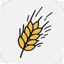 ��ѿӢ��1.3 ��׿��