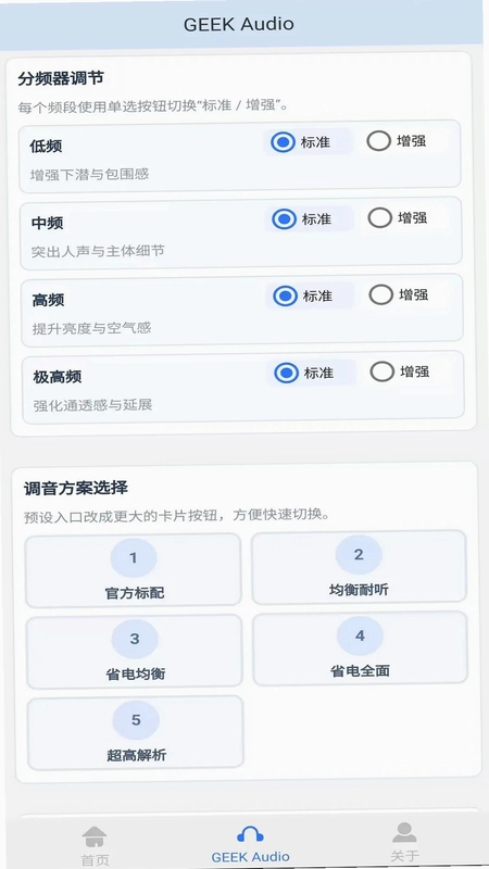 GEEKFLY(极客飞声)预览图