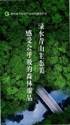 贵州省林下经济产业综合服务体系预览图