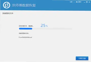 涂师傅数据恢复预览图