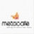Metacafe Video Downloader3.2.1.0 ���԰�