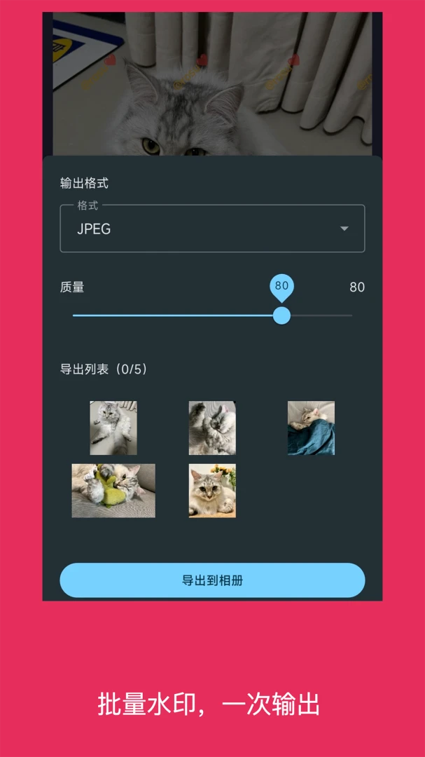 ��ˮӡ��Ƭʹ�ó���