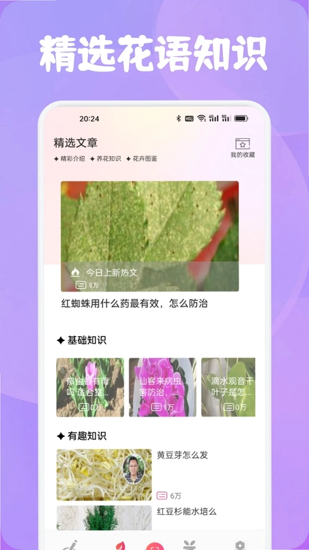 花语预览图