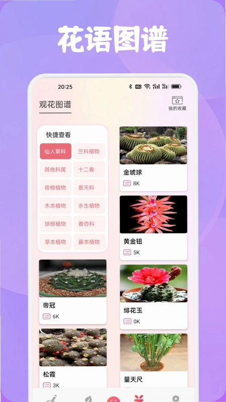 花语预览图
