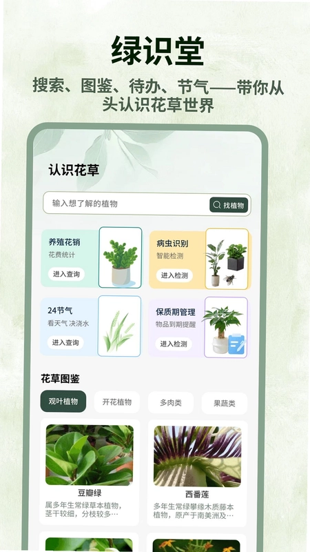 巨能花预览图
