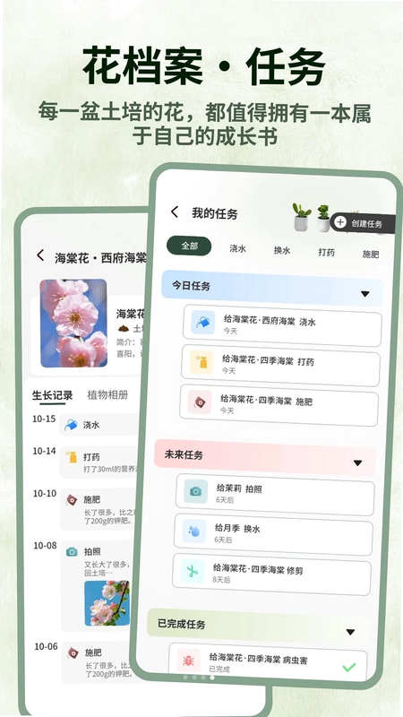 巨能花预览图