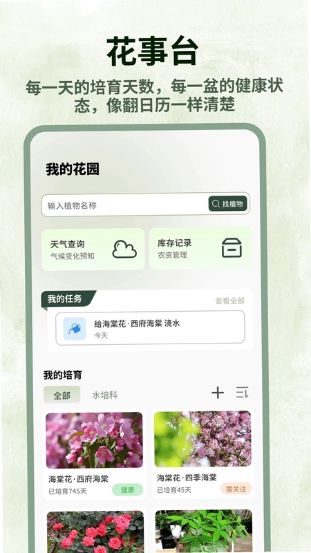 巨能花预览图