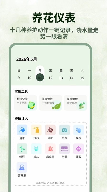巨能花预览图
