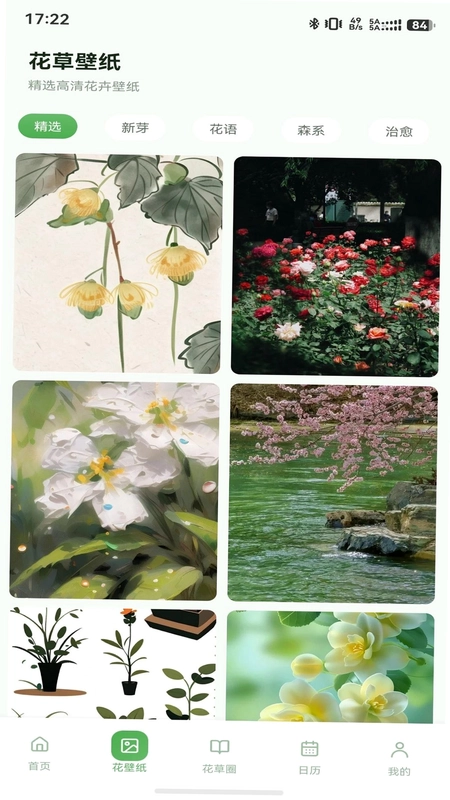 花信好物小记预览图