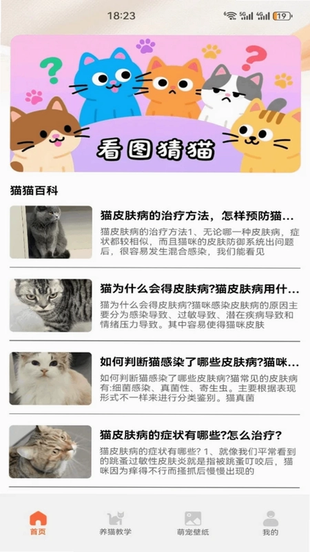 暖暖猫咪最新版预览图