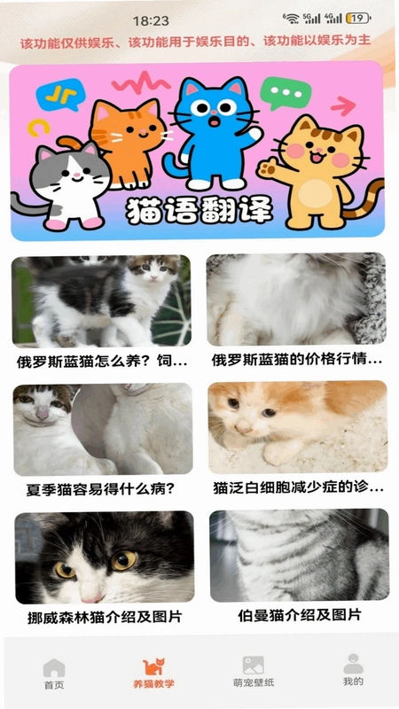 暖暖猫咪最新版预览图