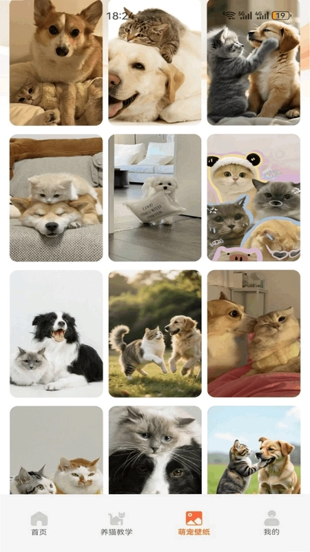 暖暖猫咪最新版预览图