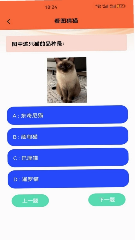 暖暖猫咪最新版预览图