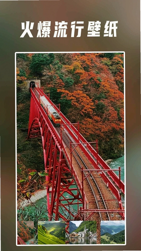 手机壁纸预览图