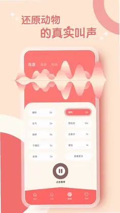鹦鹉翻译器预览图