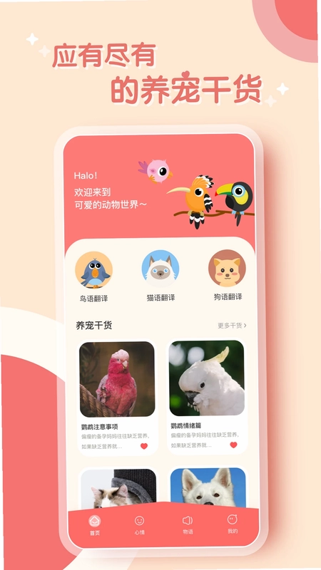 鹦鹉翻译器预览图