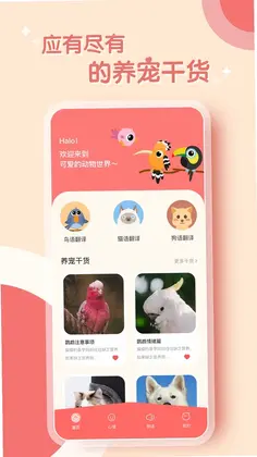 鹦鹉翻译器预览图