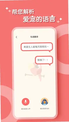 鹦鹉翻译器预览图