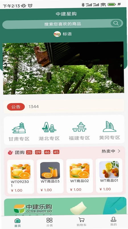 中建星购预览图