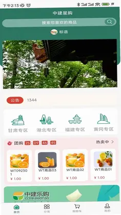 中建星购预览图