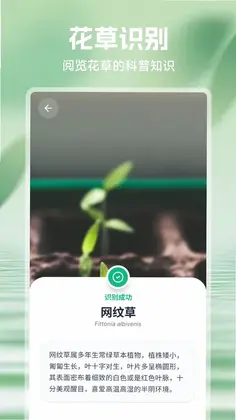 ���⻨Ԥ��ͼ