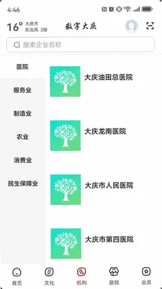 数字大庆预览图