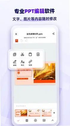 AiPPT专业版预览图