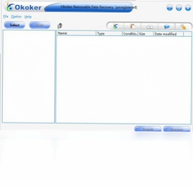 Okoker Removable Data Recovery软件预览图