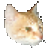 �������ƴ����ѯ��1.0.0.6 ���԰�