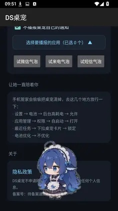 DS����ٷ���Ԥ��ͼ