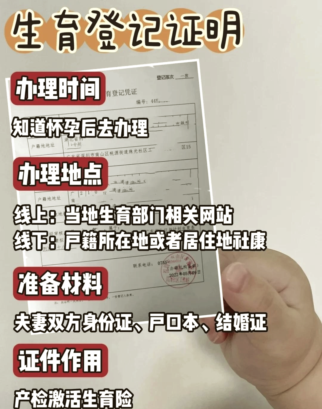 孕育册办理所需证件材料实拍