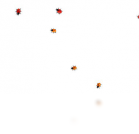 Ladybug on desktop 软件下载安全提示配图