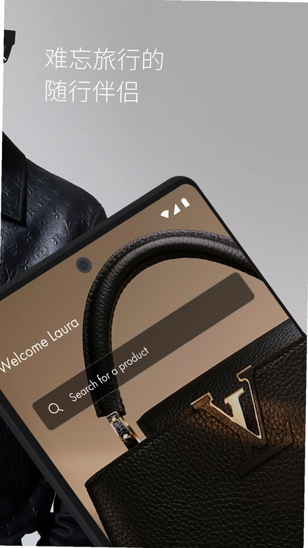 Louis Vuitton(·������)Ԥ��ͼ