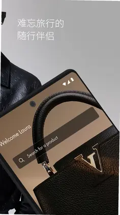 Louis Vuitton(路易威登)预览图