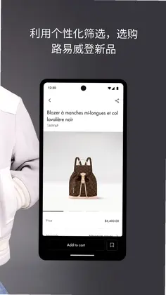 Louis Vuitton(路易威登)预览图