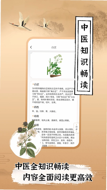 中医世家预览图