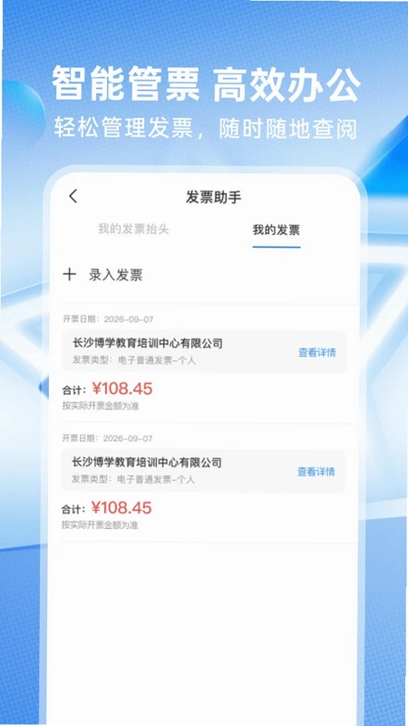 电子发票存查预览图