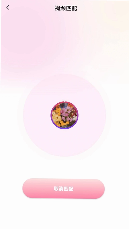 对象聊天交友预览图