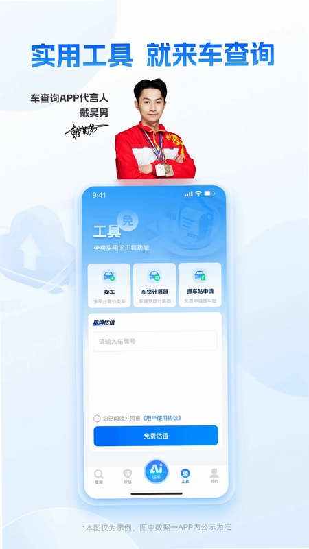 车查询预览图