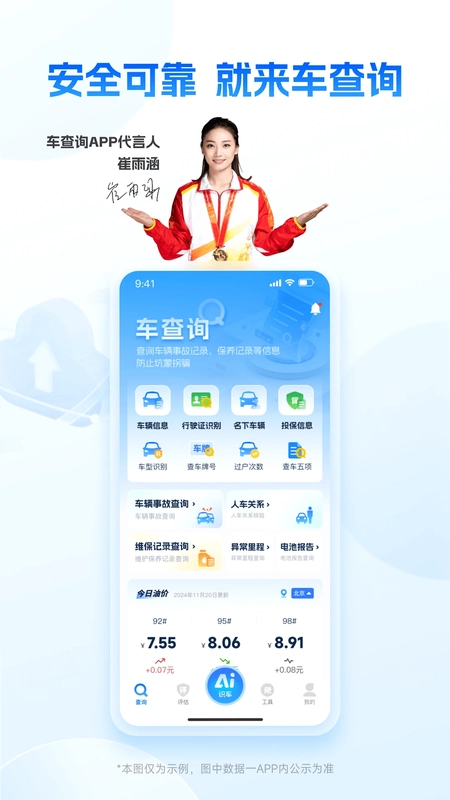 车查询预览图