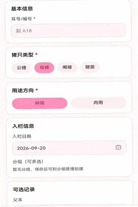 小猪来财预览图