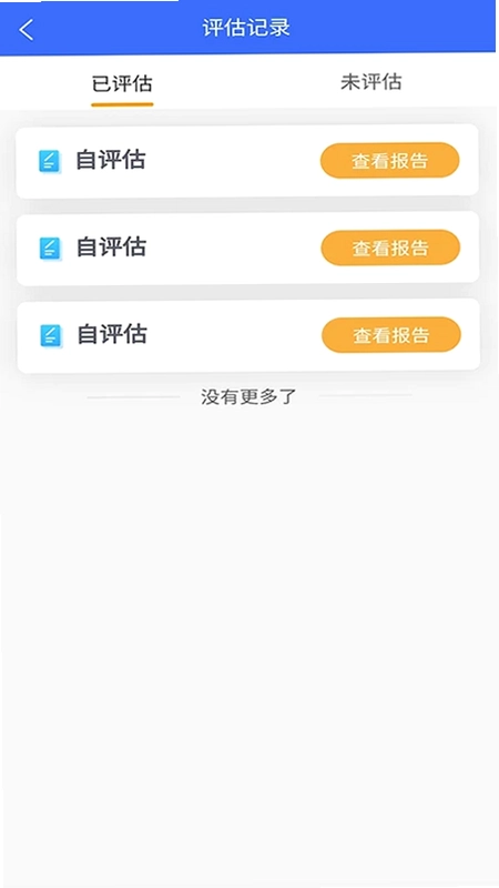数据安全自评估预览图