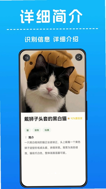 AI����ʶ��Ԥ��ͼ