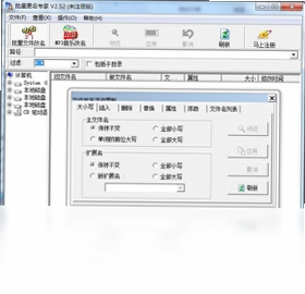 批量更名专家预览图