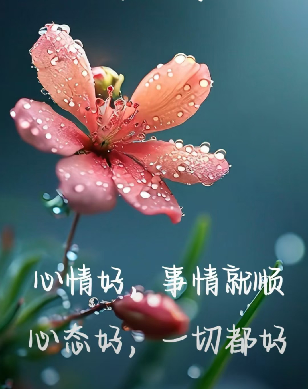 心晴每刻保持好心情的实用方法配图