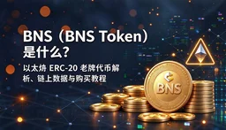 BNS��BNS Token