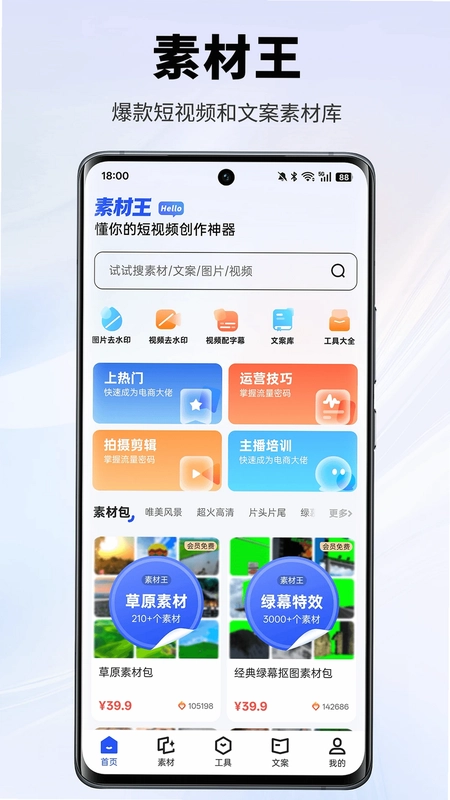 素材王预览图